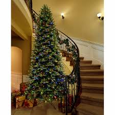 Christmas Tree Rentals in Dallas Tx