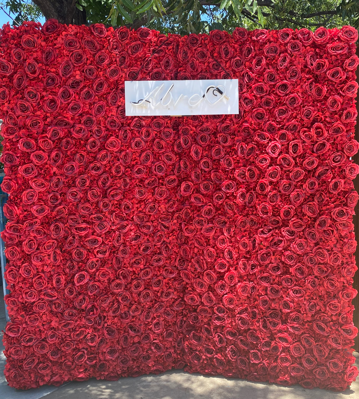 Red Rose Backdrop Wall