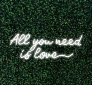 All you need is love Neon Sign