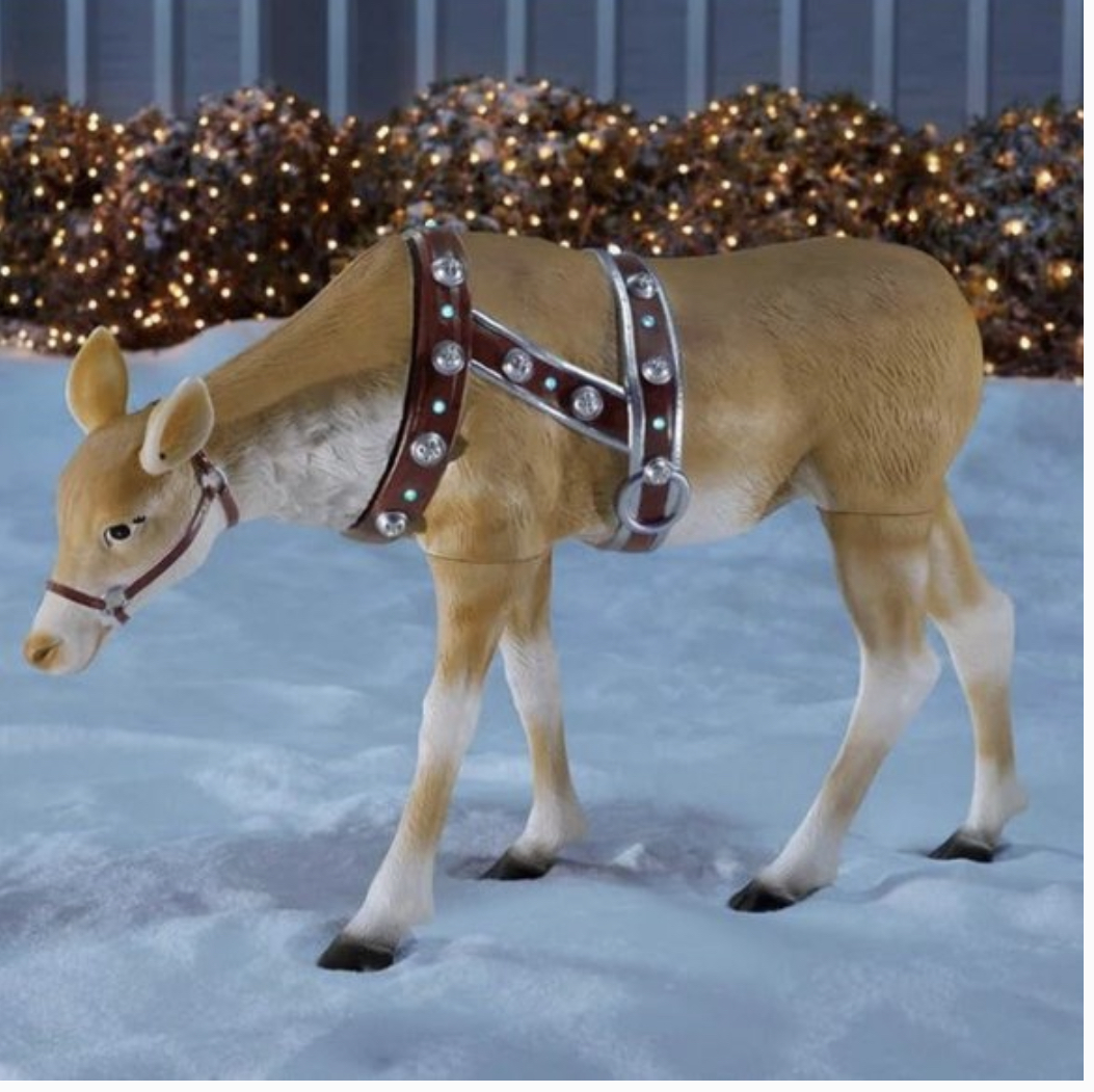 Raindeer