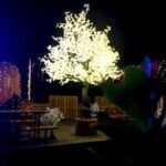 LED Tree Rentals