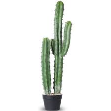 Artificial Cactus