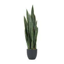 Artificial Snake Plant