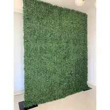 Greenery Backdrop Wall Rentals