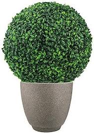 Topiary Ball