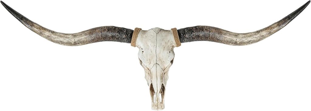 Longhorn Skull Wall Prop Rentals In All Dallas DFW