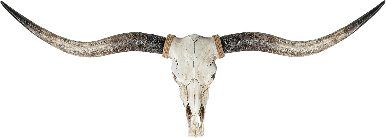 Longhorn Skull Wall Prop Rentals In All Dallas DFW